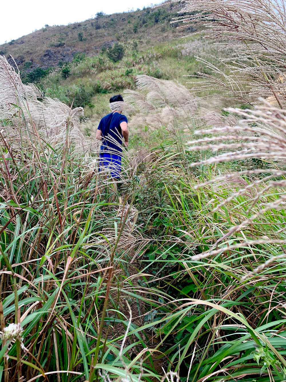 hike-hong-kong, hong-kong-hikes, ma-on-shan-hikes