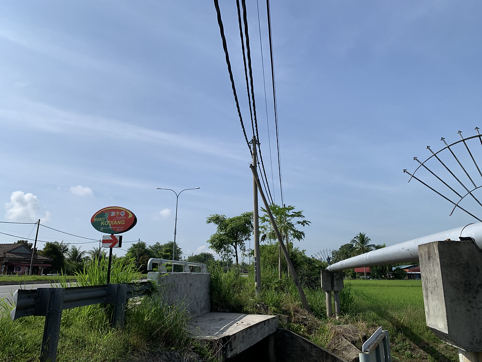 bukit kodiang, bukit kodian@mokchun