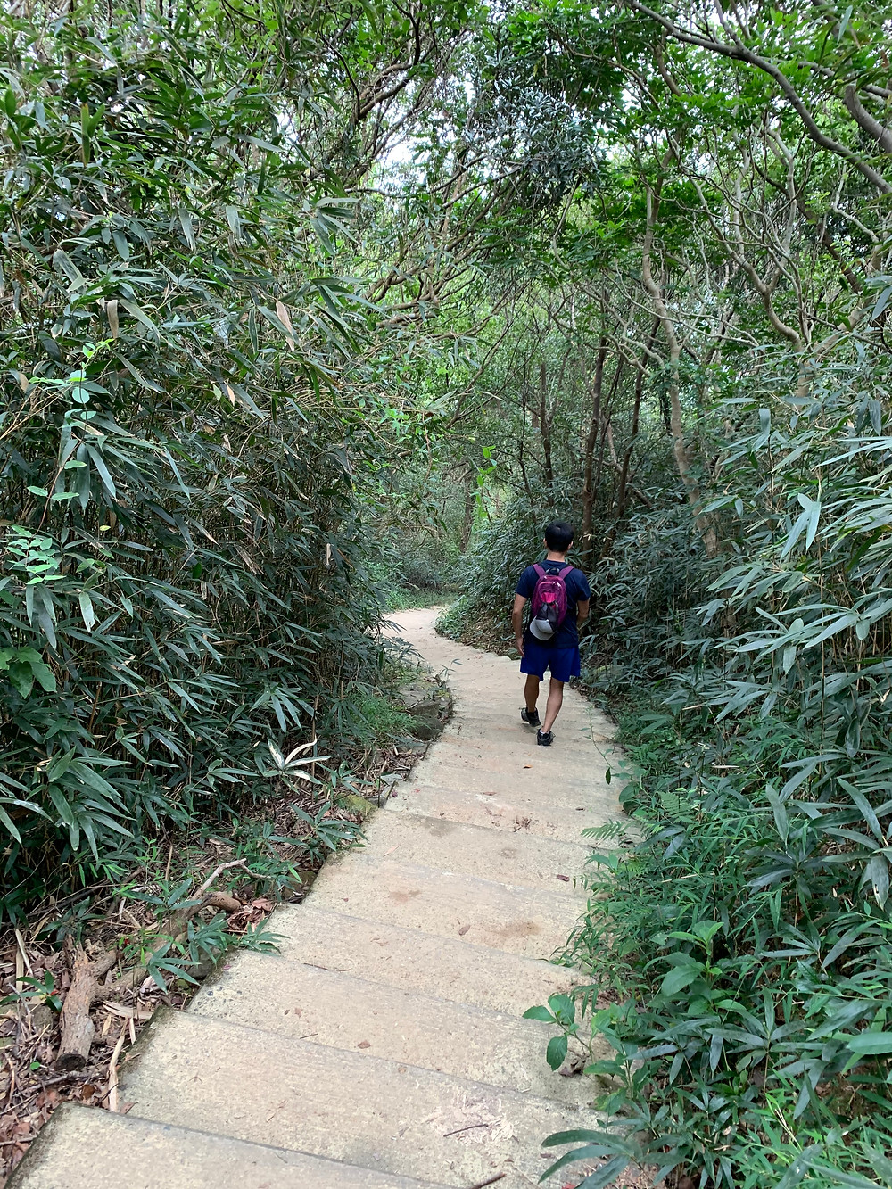 hong-kong-hikes, hike-hong-kong, ma-on-shan-hikes