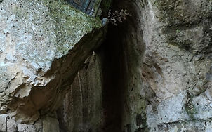 PITIGLIANO1.jpg