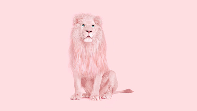 How Courage Fights the Fear