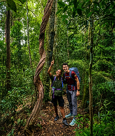 Bukit Lawang Travel (24).png