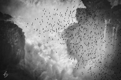 Distinction concours photo TUTOYER LES CHUTES Florence Devaux.jpg