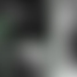 NATIONAL CORRECTIONS OFFICERS APPRECIATION WEEK