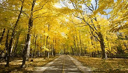 north-branch-trail-at-miami-woods-oct2013-400x228.jpg