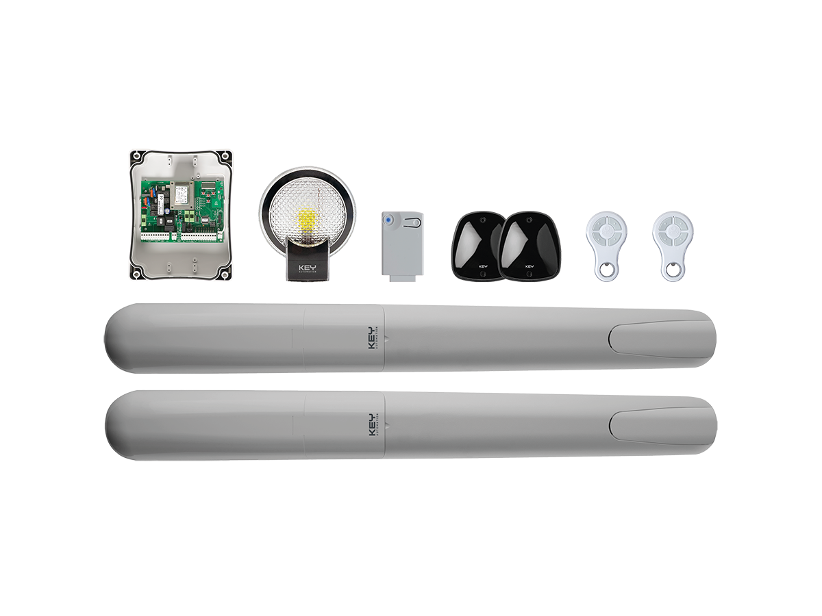 Automatizare poarta batanta Ray