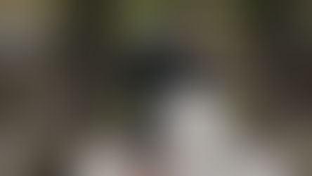 SONY PREMIA EN IBEROÀ CON SU ÚLTIMA CÁMARA ZV1