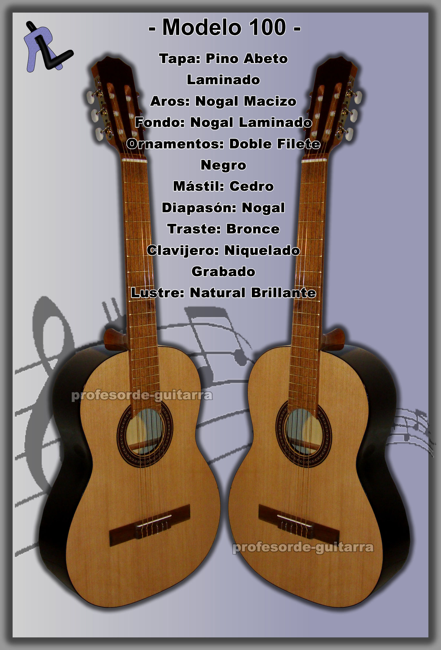 Guitarra clásica para principiantes Modelo 100