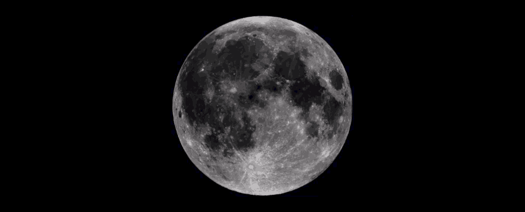 lro-moon_1024.gif