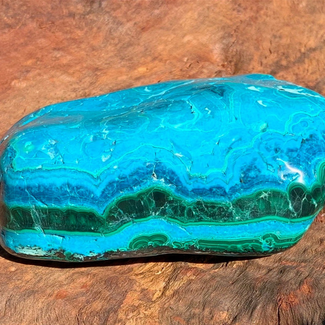 Malacolla