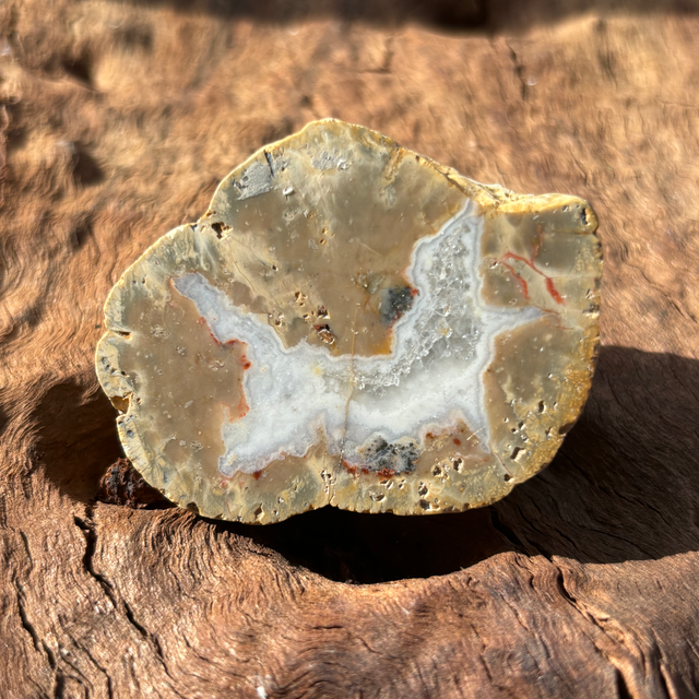 Agate Geode Half
