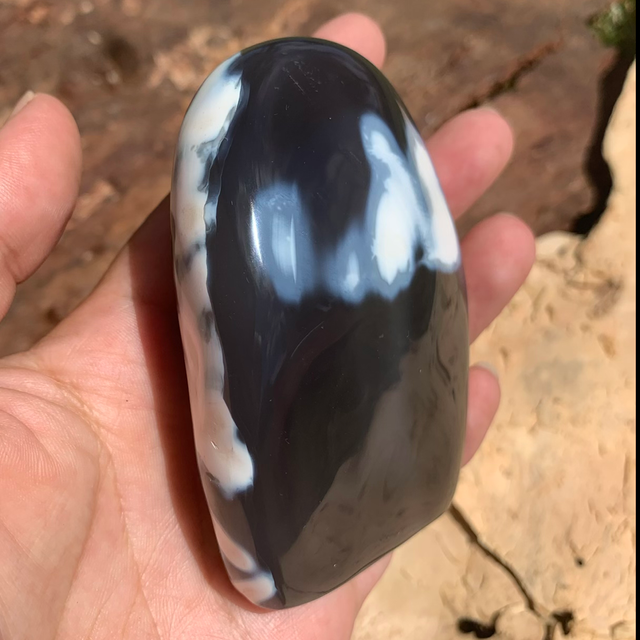 Orca Agate Freeform