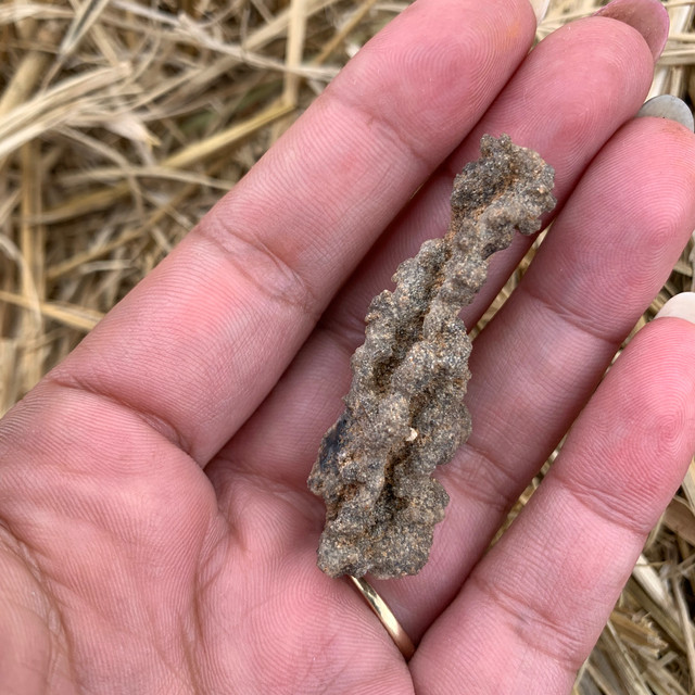Fulgurite