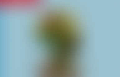 UNESCO政策指南中的轉化型社會情緒學習:教育轉型的藍圖