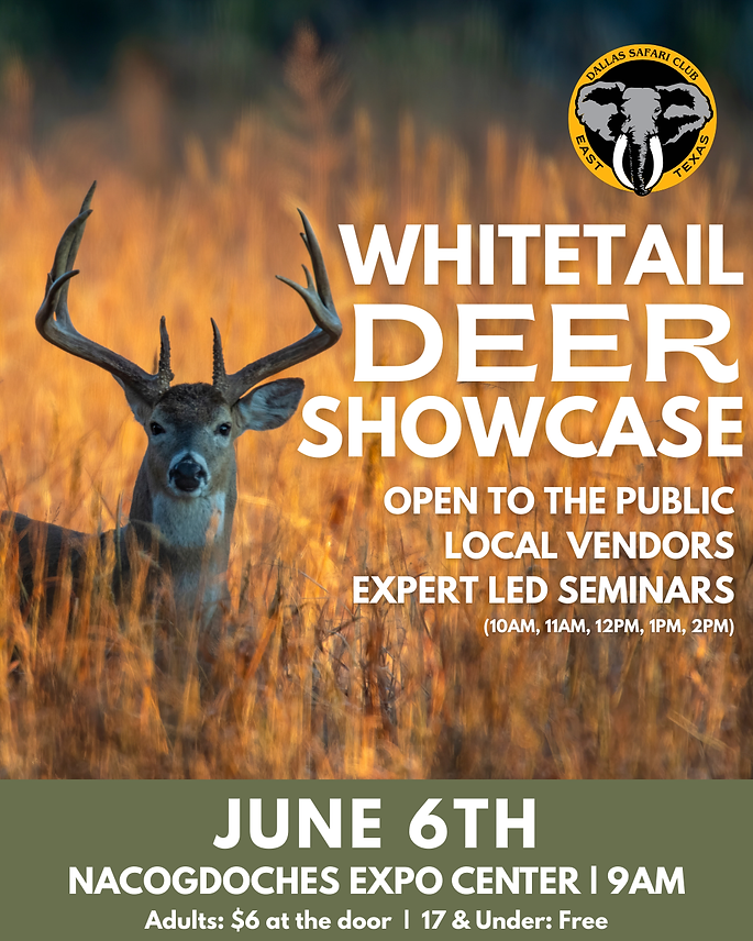 Whitetail deer showcase East Texas