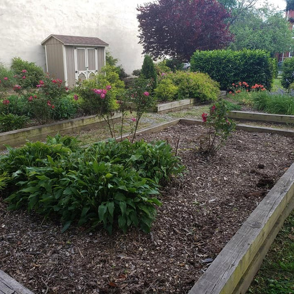 1d - Serenity Garden in 2020.jpg