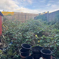 wooden fencing around a garden full of brambles with empty plant pots