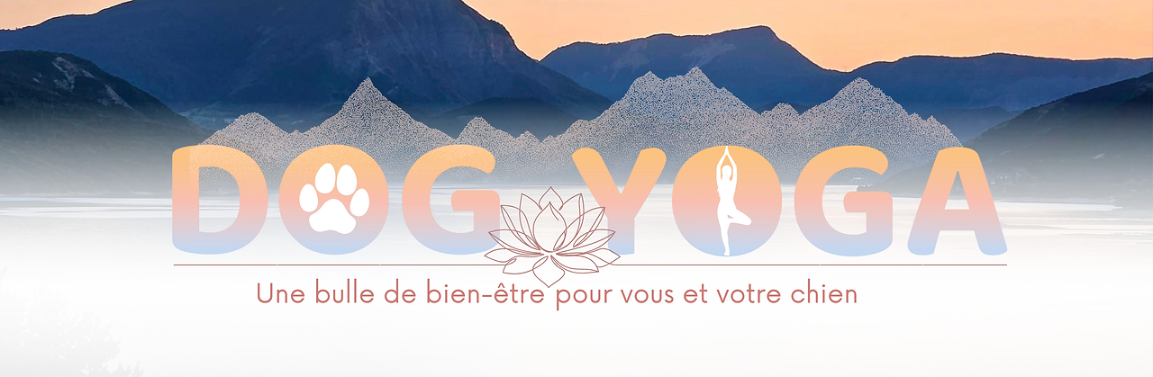 Bannière Dog Yoga site Dog Evasion.png