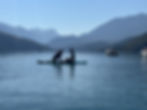 Cani-paddle
