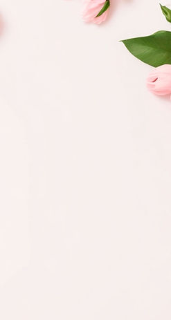 Template white flowers with yellow stamens placed on a pink background