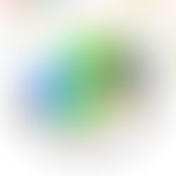 児童のサンバパレード参加に関する見解