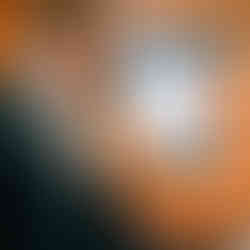 Beautiful Wedding Pictures | SJ Coordination & Events