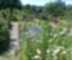 Photo0091 (2)