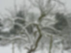P1020823