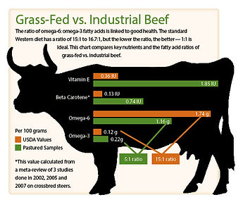 industrial-beef-chart jpg.jpeg