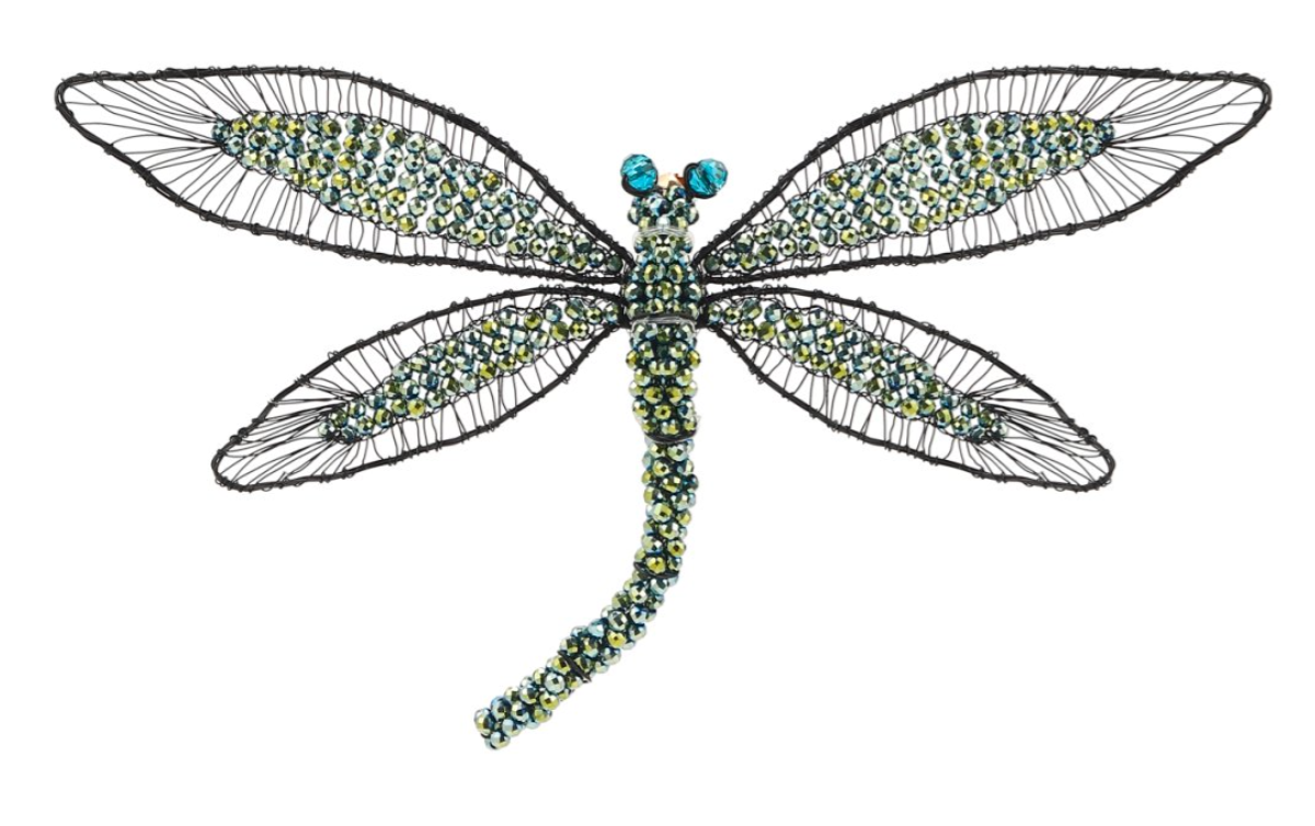 Dragonfly Brooch