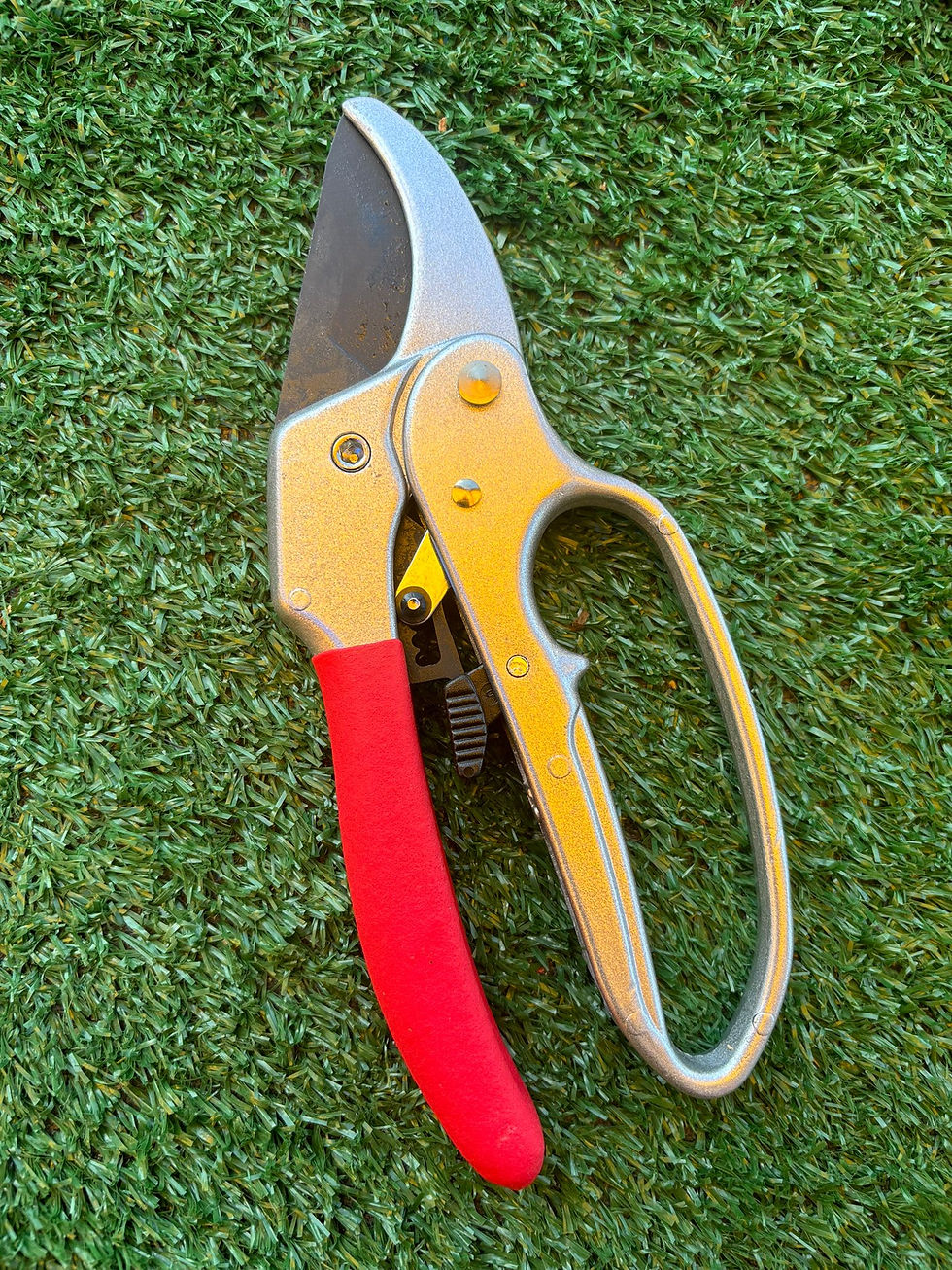 Pro Ratchet Pruner