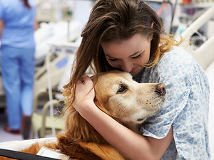 Therapy Dog Visiting Young Female Patient In Hospital.jpg