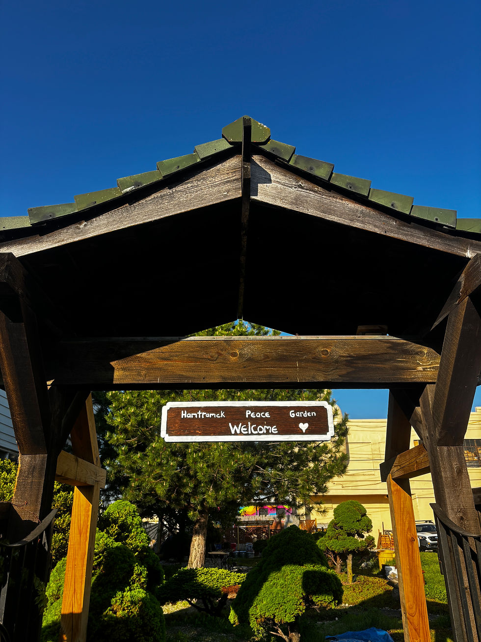Peace Garden Opening; Native Plant Giveaway