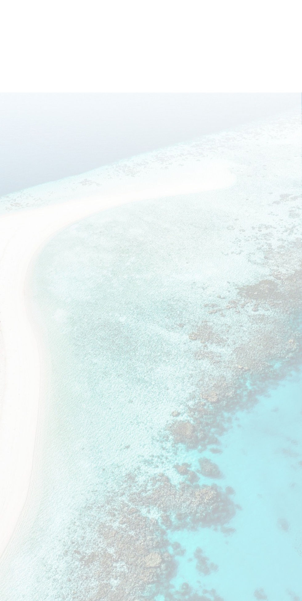 bg_3x_edited.jpg