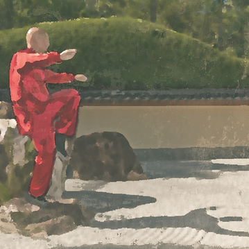 Monk Tai Chi _edited_edited.png