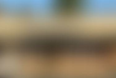 Retail Profile: Trousseau