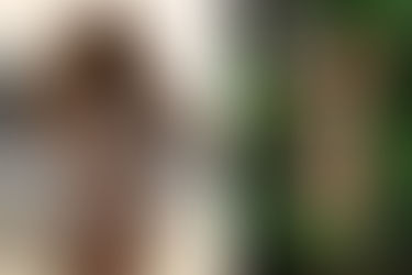 CLO Intimo: Success At Evolution