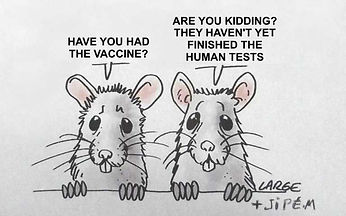 Mice discuss Human trials