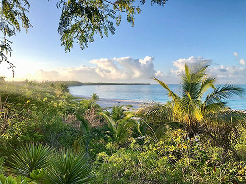 cat-island-aerial.jpg