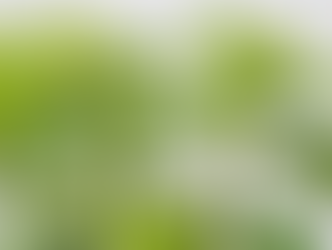 Five-minute Free Write: First Jobs