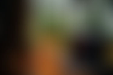 HLE Network newsletter surpasses 200 subscribers