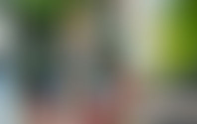 Amsterdam City Council votes to promote language friendly schools