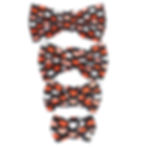 Nœud papillon Noir à cœurs toutes tailles