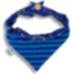 Bandana Dinos à rayures Verso