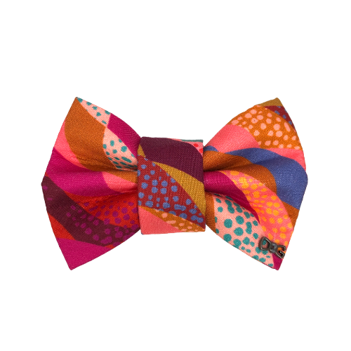 Nœuds papillon Plein de couleurs