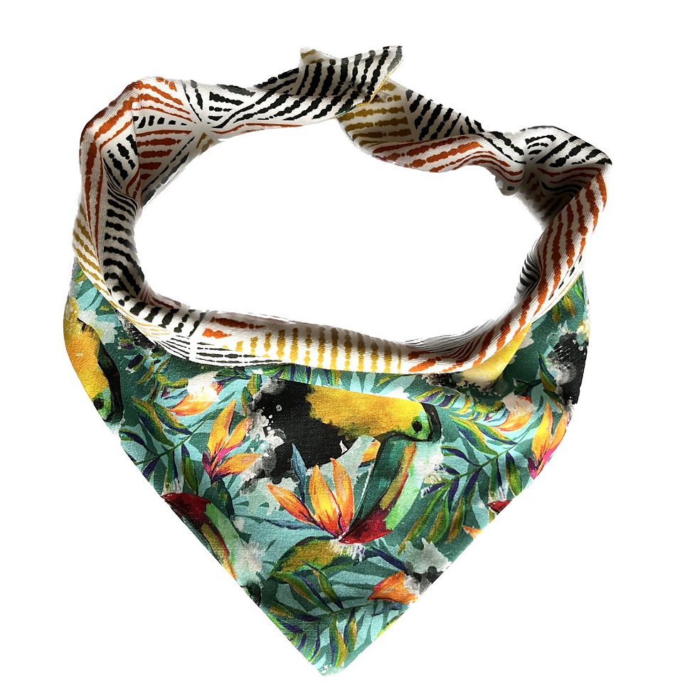 Bandana tropical recto