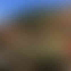 Rokko Botanical Garden