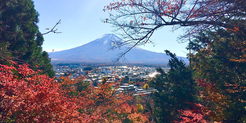 Fuji Mountain