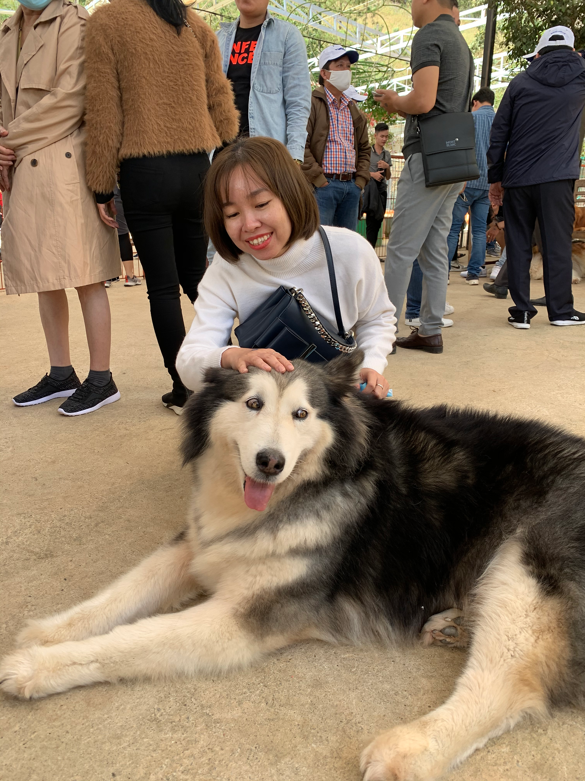A woman smiling and petting a large dog at Puppy Farm in Da Lat, Vietnam.