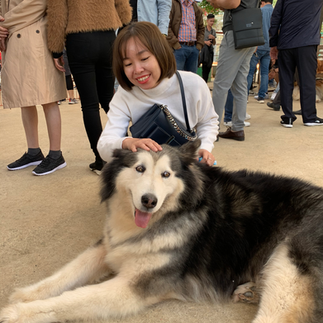 A woman smiling and petting a large dog at Puppy Farm in Da Lat, Vietnam.